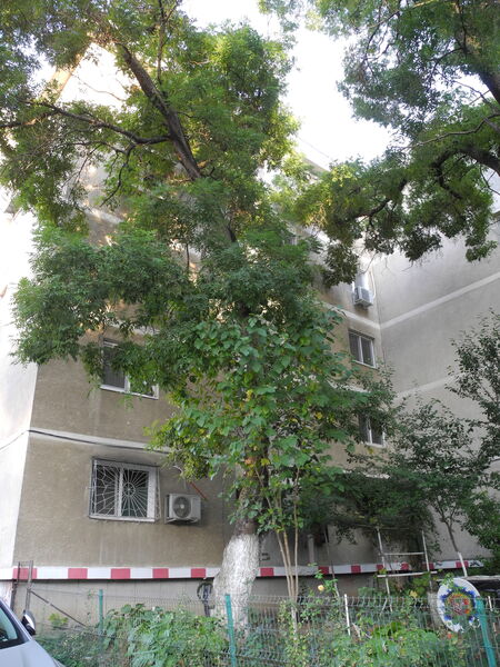 Crangasi, str. Padureni, 3 min. parc si metrou, piata